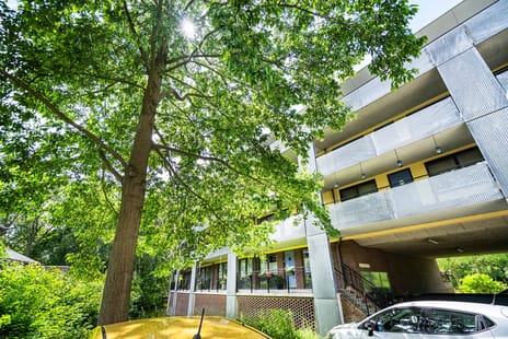 Mies Ruthplaats 38 tertiary image