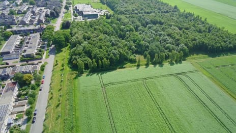 Zuiderkroon 19 tertiary image