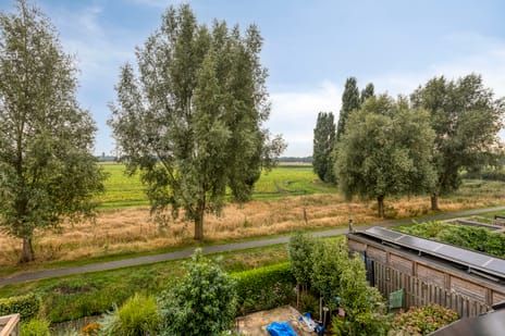 Image of De Wetering 50 - Third image