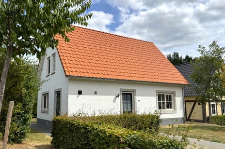undefined main image