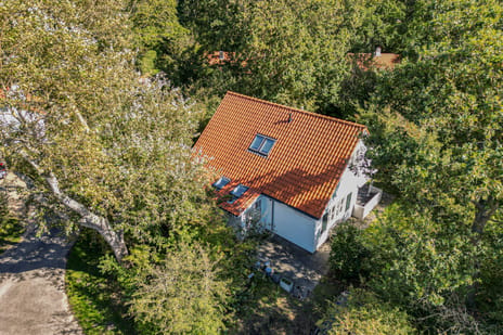 Vebenabos 19