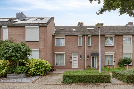Kamilleweerd 48