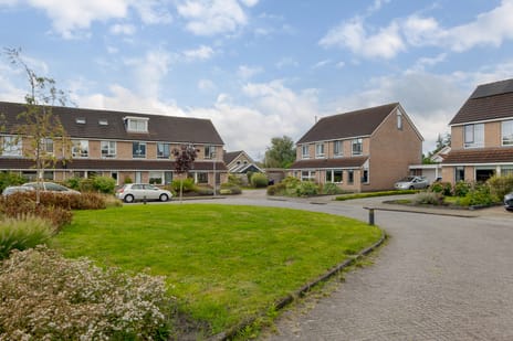 Afbeelding van Kamille 21 - Derde foto