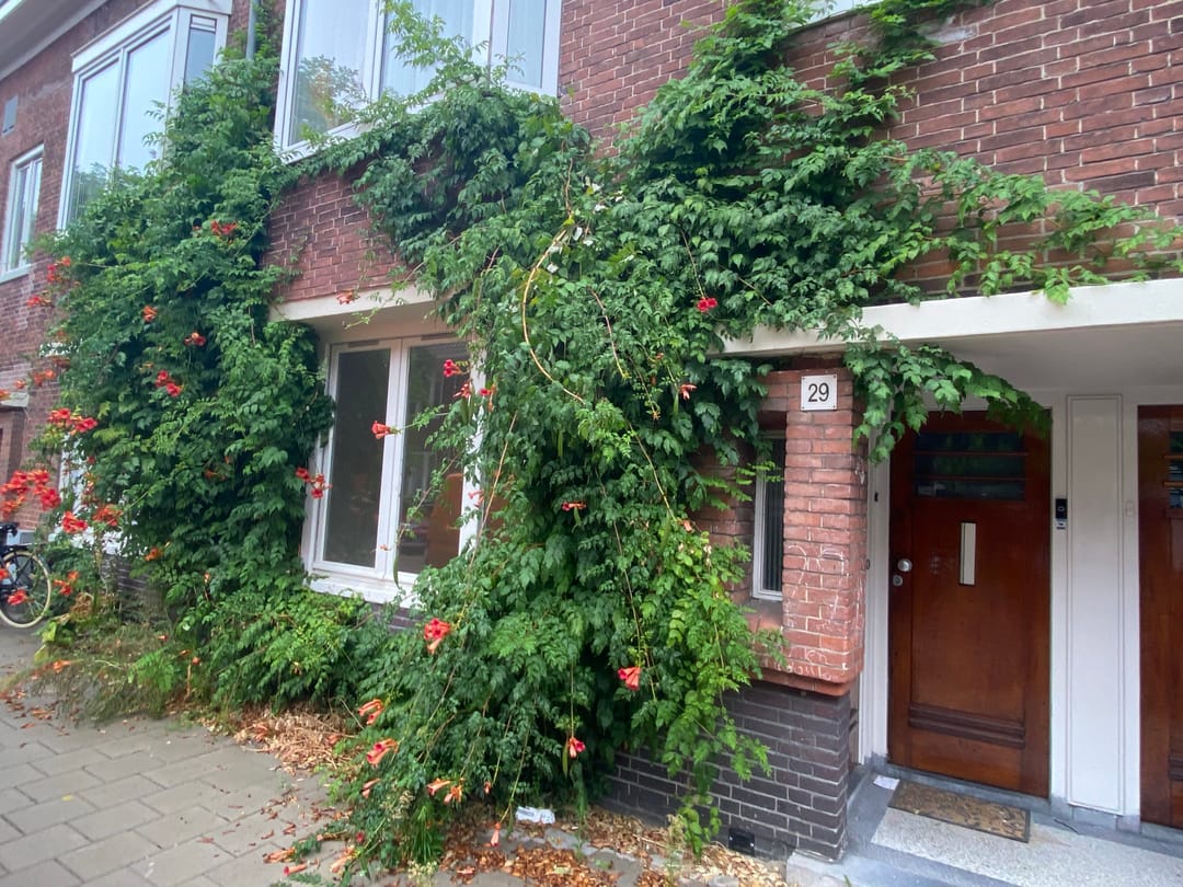 recent house