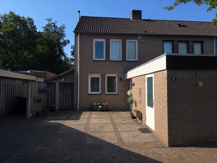 Schutsboom 1 main image