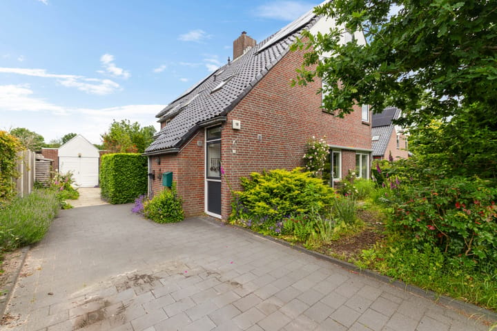 Ter Borch 18 main image