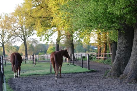 Afbeelding van Meervelderweg 72 - Derde foto