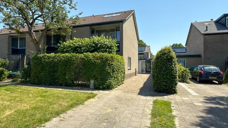 undefined main image