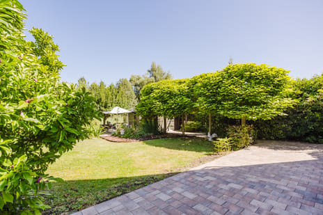 Merwe Donk 16 tertiary image