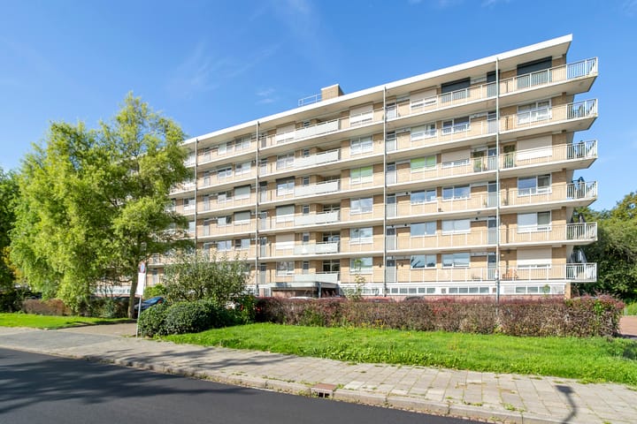 Hobokenstraat 95 main image