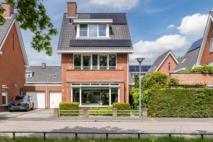 Harlekijnvlinder 18 main image