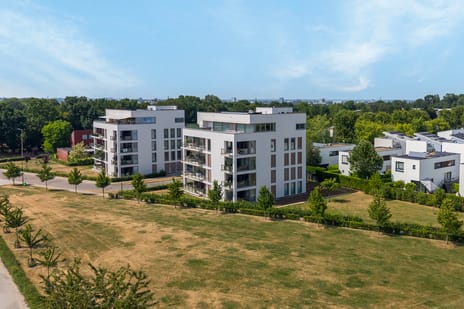 Savelsbosch 83-A01 secondary image