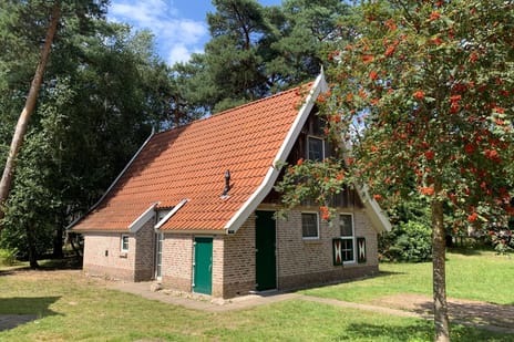 undefined main image