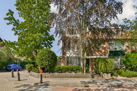 Wilgenlaan 11 main image