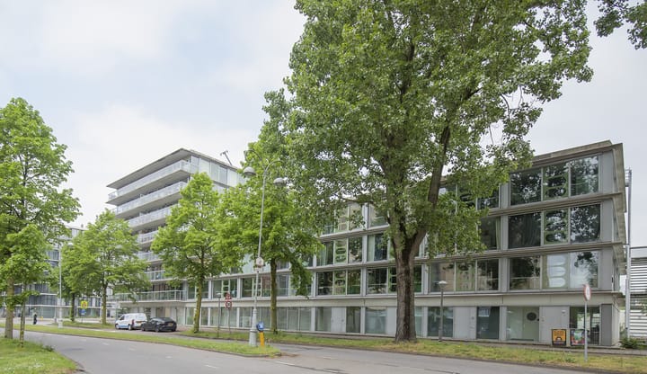 Th. K. van Lohuizenlaan 252 main image