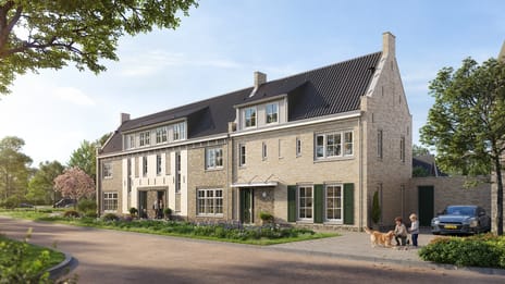 Molenvliet, Tholen secondary image