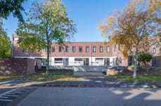 Afbeelding van Puntkroos 41 - Tweede foto