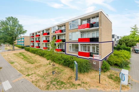 undefined main image