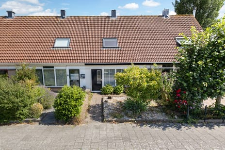 undefined main image