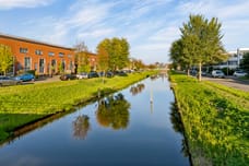 Image of Zwarte Specht 46 - Second image