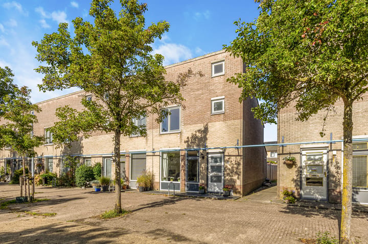 Anna Reynvaanhof 13 main image