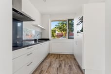 Afbeelding van Het Zwin 79 - Derde foto