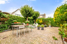 Afbeelding van Kleine Zonnedauw 3 - Derde foto