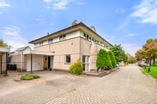 Afbeelding van Kleine Zonnedauw 3 - Tweede foto