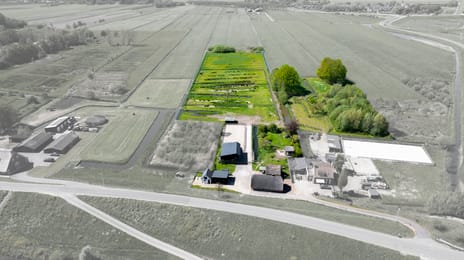 Diefdijk 5 tertiary image