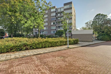 Graan voor Visch 16211 main image