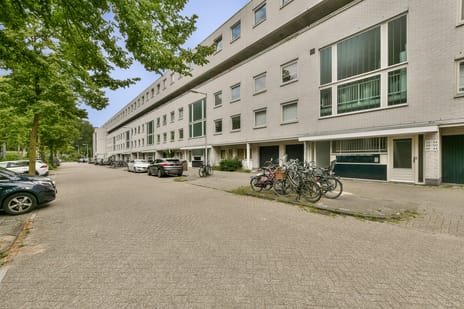 undefined main image