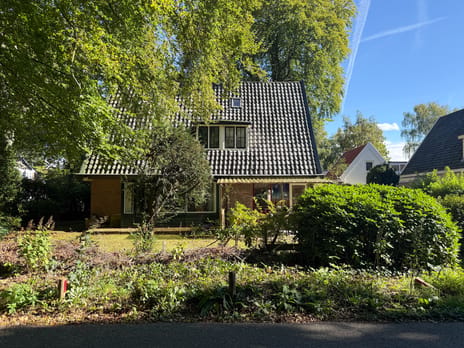 Doorntjes 8 main image