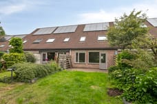 Afbeelding van Bonte salie 7 - Derde foto
