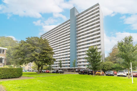 Menno ter Braaklaan 241 main image