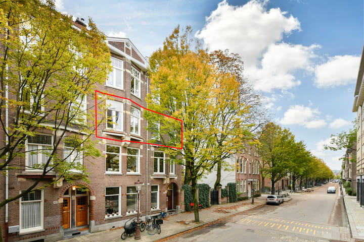 Nicolaas Maesstraat 106-2 main image