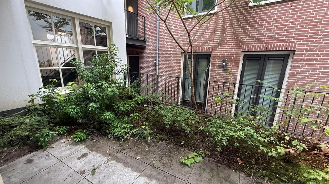 House Exterior