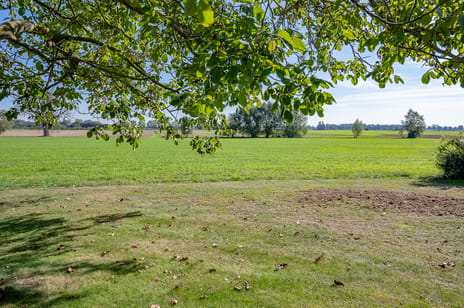 Afbeelding van Walseweg 7 - Derde foto