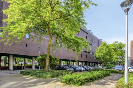 undefined main image