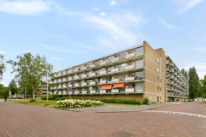 Newa 83 main image