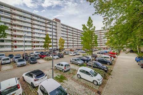 Zernikeplaats 116