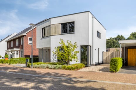 Afbeelding van Boekweit 9 - Derde foto