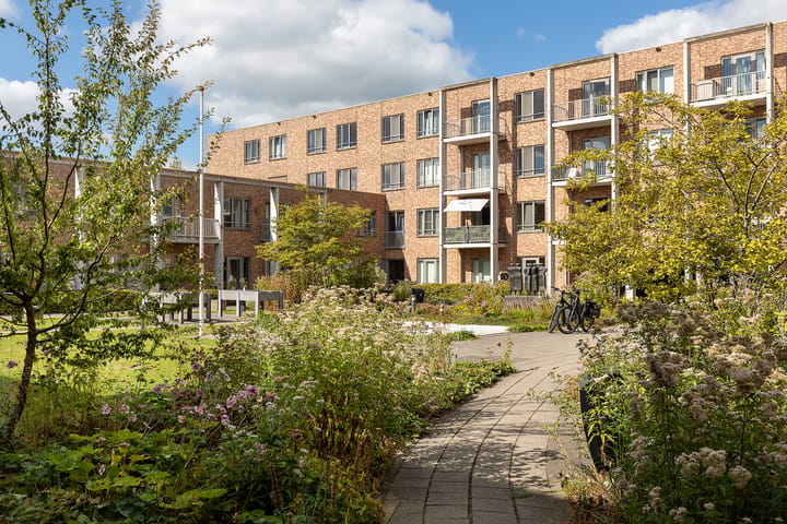 Oudergaarde 1-213 main image