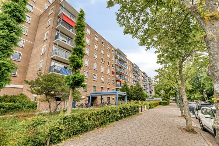 Aert van Neslaan 206 main image