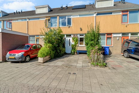 undefined main image