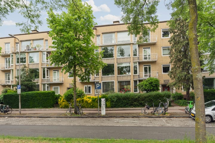 Joseph Haydnlaan 48-3 main image