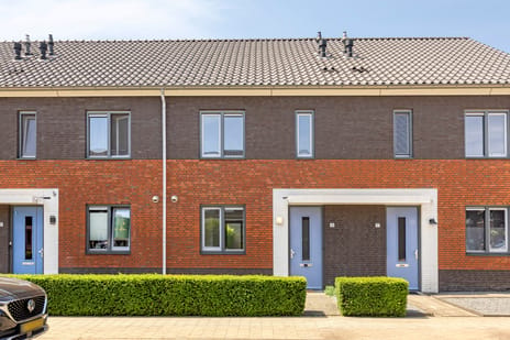 undefined main image