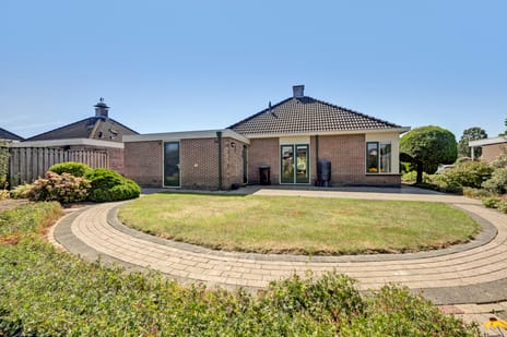 Afbeelding van Havikskruid 3 - Tweede foto
