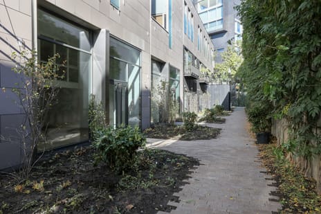 Afbeelding van Pieter Vreedestraat 5 - Tweede foto