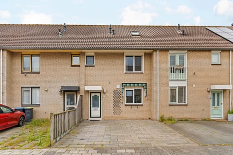 undefined main image