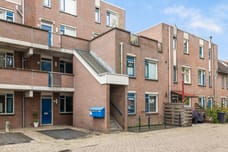 Afbeelding van Havik 16 - Derde foto